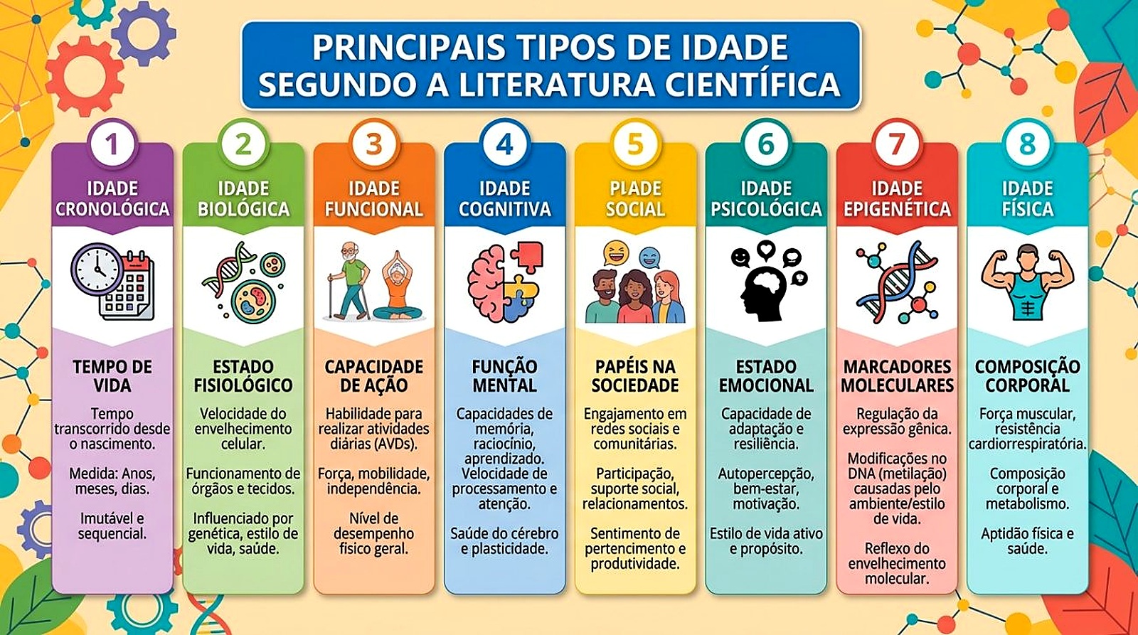 Ilustração — dimensões do envelhecimento